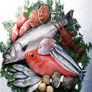 南方水產品加盟 把握商機，開拓水產品市場新藍海