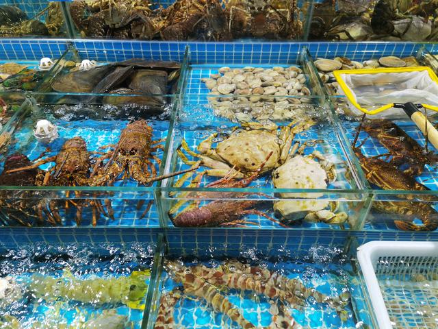 高端水產品價格探秘 為何一些水產售價如此昂貴？